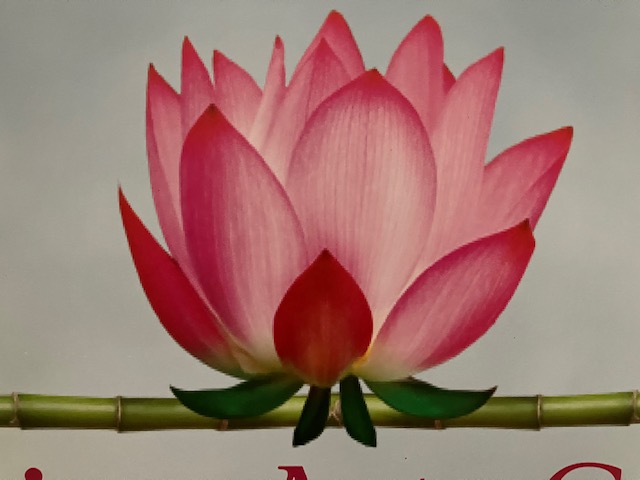 lotus
