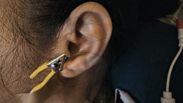 SI16-and-ear-point-EAM-Fairy